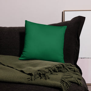 Run Deer MC Green Basic Pillow